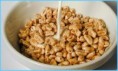 /album/fotogalerie/a39988589-cereal300-jpg/